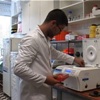 Víztisztításra használható mikroba-gyűjteményt hoztak létre magyar és román kutatók